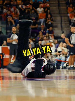 ya ya ya suns up! 🗣️ #yayaya #dunk #trickshots #gameday #halfcourtshot #immaculatevibes #TheGorilla #NBA #basketball #phoenixsuns #Go #mascot #sportstiktok 