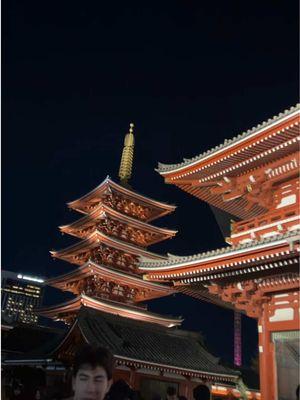 WOWOWOW  #japan #osaka #tokyo #kyoto #landmarks #tokyotower #temple #vacation #fypage #fyp #fypシ゚viral 