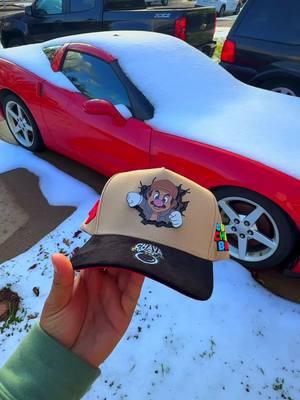 #hats #caps #gorras #gorritas #corridos #mariokart #mariobros #fyp #foryoupage #tiktok #parati #viral #viralvideo #foryoupageofficiall #fypシ #texas #dallas #hosuton #fortworth 