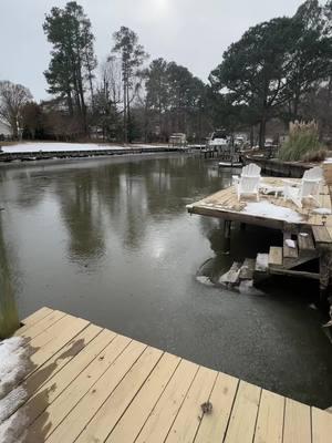 Terry the Teradactyl is walking on water! #frozenriver #slippery #birdlife #heron #river #winterstorm #jamesriver #powhatan #creek #icey 