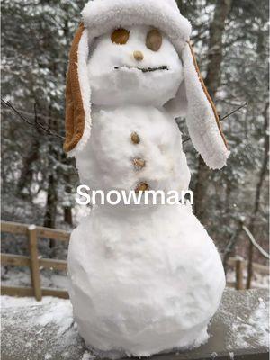 When you picked the perfect weekend trip to the mountains. #snowman #snowday #mountains #weekendtrip #gamountains #georgia #snowmanfriend 