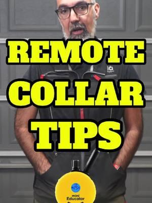 Do you use a remote collar for your dog? These 6 easy tips will help you see success in your training!💪 ##ecollar##ecollartechnologies##remotecollar##fyp##foryou##DogTrainingHouston##DogTrainingKingwood##DogTraining##DogsofHouston##DogsOfKingwood##AlTheDogTrainer##PuppyTrainingHouston##PuppyTraining##DogsOfInstagram##Houston##Kingwood##Dogs##Puppies##Puppy##AtascocitaDogTrainer