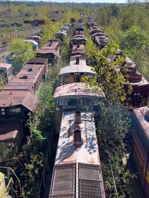 On a recent road trip through the Midwest we discovered a whole bunch of abandoned trains under a bridge! Some of the trains were open so we could even go inside and explore them! 🚂 🚂 🚂  #abandoned  #abandonedplaces  #train  #trains  #bando  #urbanexplorer  #urbex  #abandonedamerica 