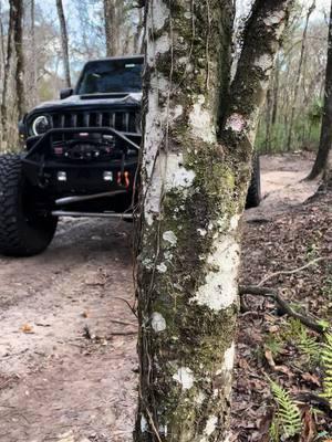 Rancho tree burn this weekend! #rhinousa #rancho #flrorida #jt #jeeplife #40s #motobilt #king #rpm #evo #bulletpointmounts