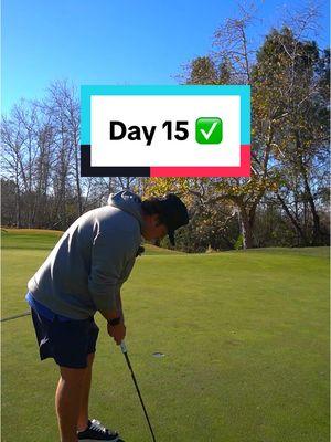 Day 15 🤯 #gavgolfs  . . . #fyp #birdie #challenge #golf #getoutside #letsgo 