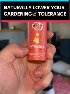 Replying to @AgateFiend you can get the same effects of a tolerance break with an intensify drink #gardentok #gardening🍃 #intensifyshot #thehappiesthour #bevswithbenefits 