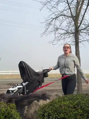 @bella aguilar showing us her walking routine with her Zoom360 jogging stroller! 🏃‍♀️ ❤️ #fyp #foryou #joovy #zoom #joggingstroller #strollertok #momlife #parenting #stroller 