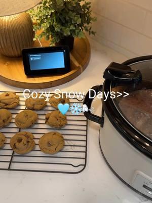 These are the days meant for the homebody🩵 #cozydays #snowday #beefstew #crockpotrecipes #SlowCookerRecipes #comfortfood