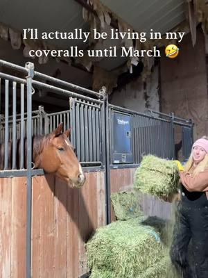 JB acting like he’s starving 🤣 #fyp #foryou #catiewilson #ranchlifestyle #cowgirlmom #womeninag #cowboywife #ropelikeagirl #