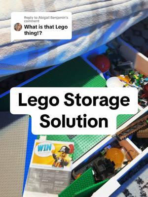 Replying to @Abigail Benjamin 🔗 in bio! Makes Lego play even more fun 🙌 #lego #legostorage #boysbedroom #amazonfind #kidsbedroom #legotiktok 