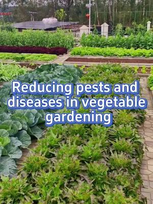 #vegetables #plants #planting #garden #gardening #farm #farming #gardentips #fertilizer #homegarden #farmlife #planterstrickshot #fertilizer 