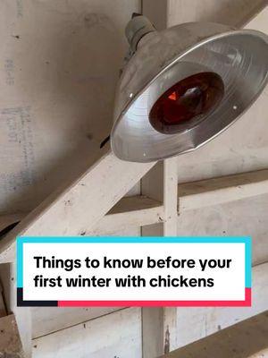 Your first winter with chickens can be a little scary… but with common sense and good research you and your flock will be just fine! #chickens #winterchickens #backyardflock 