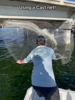 We are throwing a cast net at skyway fishig pier to catch bait. The reason we catch so many is to live chum with them! A lot get released at the end of the day! #skywayfishingpier #castnet #fishing #net #baitfish #baitfishing 