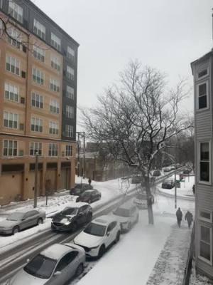 Fooo que frío! Vista desde la ventana de mi lechoncita en Chicago. #lazaroellechon #humor #comedia #Chicago #winter #nieve #fyp snow #snowday 