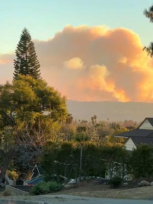 #californiaenllamas🔥🔥🔥☄️ #evacuating #paratiiiiiiiiiiiiiiiiiiiiiiiiiiiiiii #foryoupage #wildlife #fyp #recommendations #update 