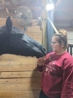 Fun Fact Friday: Liz and Presley have something to share that hardly anyone NOSE about horses! #WestmeisterFarm #Ohio #ShelbyOhio #FunFactFriday #BestDayEver #Horse #Horses #TenneseeWalker #Presley #FunFact #DidYouKnow 