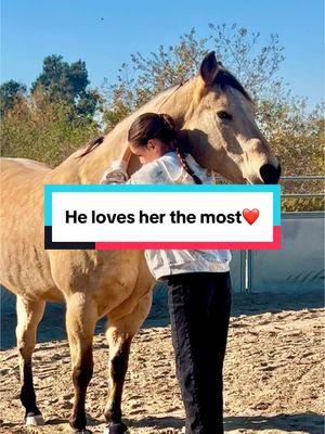 He loves my daughter the most❤️she’s busy being a teeneager, but suprised him with a visit after school🥹 #girlsandhorses #smile #morganwallen #horses #horsetherapy #babygirl 