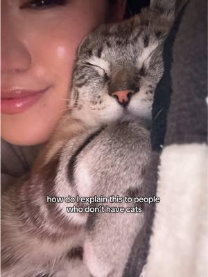 The best feeling in the world 🥹🥹#catmomlife #catlover #catoftiktok 