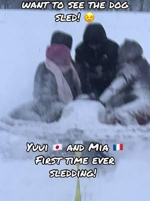 Our exchange students had the BEST time sledding today along with our dog Mocha. She wouldn’t stay off the boat. 🤪 I promise the dog was not hurt in video. She rolls like that all the time playing with the other dogs. #exchangestudents #fyp #sledding #Japan #France #firsttimesledding