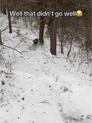 He hurts after that one 😂👏🏻 this sound was better! 😂😂 #sled #sledding #sleddingfail #wrecked #hurt #tennessee #snow #snowday #2025 #fyp #fypシ #viralsound #trendingsound 