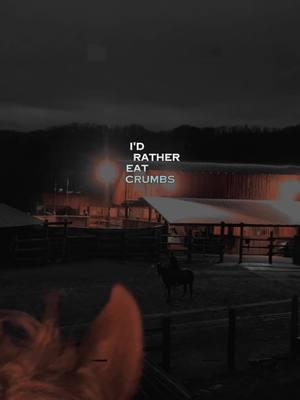 I'd rather eat crumbs with bums than steaks with snakes. Take the time and let that register! #luckyahorsemanship #coltstarter #horsetrainer #noregrets #stayhumble #itsallornothing #trusttheprocess #lovetheprocess #giveityourall #neverstop #buildconfidence #consistencyiskey #smallsteps #noexcuses #dreambig #real #justbeyou  #CapCut 
