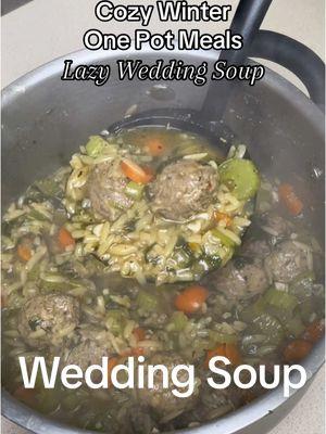 One pot meals for lazy weight loss girlies. Yes please. Recipe⬇️  1 ¼ cups carrots, diced 3 celery ribs, diced Frozen meatballs 5 cloves garlic, minced 8 cups beef broth OR bone broth 2 teaspoons Italian seasoning ¾ cup orzo pasta, uncooked 4-5 cups fresh spinach salt/pepper, to taste #weightlossjouney #DinnerIdeas #EasyRecipe #easydinnerideas #easydinnerrecipes #highproteindinner #weightlossdinner #weightlossmeal #onepotmeals #lazymeals 