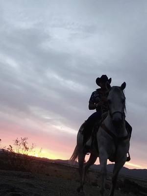 #luisyjulian #bajandoelcerro #acab1312 #paisaje #cabalgando #caballosfinos🐎💯 #atardeceres🌅 #vaquero #ranchero #sigue #sigueme #falowmetiktok #arribasonora🌞🤠🌵🐴 #az 