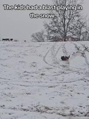 It doesn't snow very often around here #cold#sled#farmland#brrr 