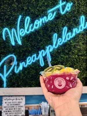 A little oasis in #dublinohio! 🌴🥥 #dublinohio #sodublin #columbusohio #614columbus #614living #acai #acaibowl #pitayabowl #smoothiebowl #playabowls 