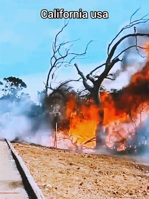 Los Angeles California Ghaza Malibu California Ghaza Pacific Palisades Fire. The Getty Villa. #pacificpalisades #thegetty #fire #pacificpalisadesfire #usa #los #california #pacificpalisades #thegetty 