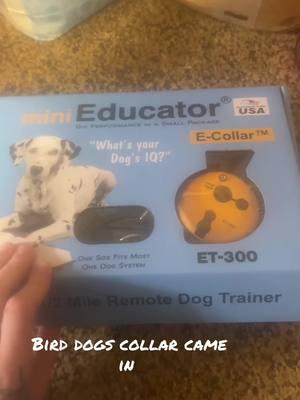 Emphasis on the she ain’t got no money 😂🤪 #minieducator  #ecollar #trainthedoginfrontofyou 