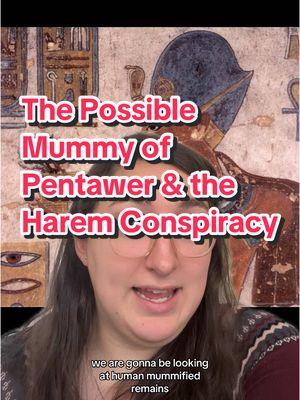 Replying to @🏛𝐂𝐎𝐍𝐒𝐓𝐀𝐍𝐓𝐈𝐍𝐄🏛 Final installment of the Harem Conspiracy series! Any more questions to cover? As always follow on YouTube and Instagram in case of the TikTok ban! #melissaindenile #fyp #fypシ #creatorsearchinsights #foryourpage #egypt #egyptian #ancientegyptians #ancientegypt #egyptology #egyptologylovers #askanegyptologist #haremconspiracy #ramssesiii #ramsesiii #deirelbahricache #mummy #mummification #egyptianmummy #pentawer 