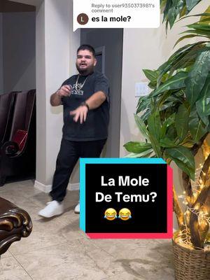 Replying to @user9350373981 | @LaMolechida de Temu? #lamole #lamolechida #brownsville #956valley #956rgv #956 #mcallentx #rgv #fyp #fyppppppppppppppppppppppp 