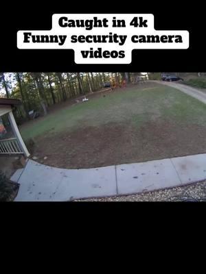 Funny security camera videos #dogsoftiktok #funnyvideos #funnyvideo #funnymoments #funnytiktok #unitedstates #fyp #afentertaiment #failvideo #viralvideo #cctv 