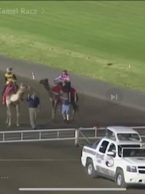 Throwback to our ever so popular camel racing!! #harnessracing #horseracing #playbigm #throwback #camels #camelraces #newjersey #fyp #playmeadownads 