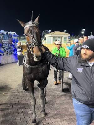 WINNER’S BET, JIGGY JOG S & TWIN B JOE FRESH — all Dan Patch Award winners as well! #playbigm #danpatchawardwinners #harnessracing #horseracing #fpy