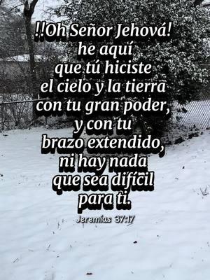 Creación_Perfecta_de_Dios. #❄️ #🌨️ #☃️ #🥶 #❄️ #⛄️  Tú eres la perfección de la creación de Dios; lo más precioso que el mundo jamás ha conocido. #snow #day #diadenieve #creacion #perfecta #de #Dios  #alabanzas_cristianas🎶❤️ #jesuslovesyou #amén🛐❤️ #teamwork #foryoupageofficiall #thankyou #God #hecreido #enun #poder #queno #seve #pero #se #siente #enel #corazon  #virginiabrito #alabanzas_cristianas #reydereyes  #enero2025 #primeranieve #buenoesDios 