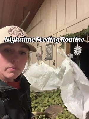 Nighttime feeding routine 🌱  @southernstarfeeds alfalfa hay cubes  @Bluebonnet Horseman’s Elite Ultra Fat / Omega Force  @Complete Equine Performance  Vitality Oil, Gut Check, Daily Drip, Hoof Rx, Gear Down 24/7 #horsegirl #equestrian #fyf #fyp #horses #barrelhorse #barrelracer #barrelhorsetrainer #horse #nutrition #feed #feedingtime #feedroutine 