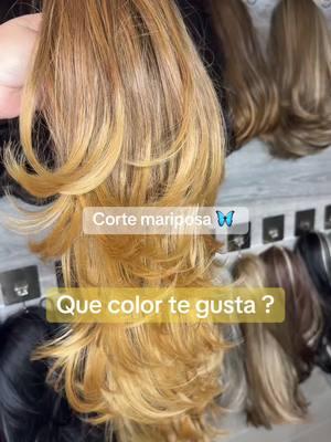 Victoria tiene muchos colores, Que color te gusta?#cortemariposa #crownclipponytails #coletasdecabello #ponytailstylist #foryourpage 