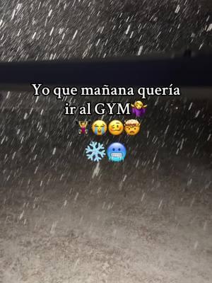 Mi vida Fit ❄️🥴😭🥶 #nieve #tormentainvernal #chesapeake #vidafit #dieta  