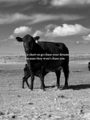 Life is short let’s not waste it regretting what we didn’t do:) #wa  #motivational #cattle #calvingseason #blackangus #inspiration #farmer #fyp #farmtok #womeninag #firstgenfarmer #rancher #eatbeef 