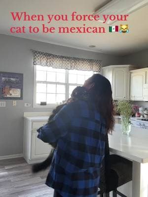 Leo hates me 😹 #mexicantiktok #catsoftiktok #maincooncat #dance 