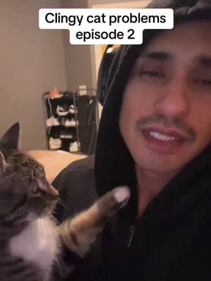 Clingy cat problems episode two #trending #fyp #catsoftiktok #catslovers #cats #tiktokcatsvideos #catsvideo 