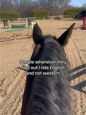 #fyp#foryoupage#foryou#horses#horse#englishriding#western#westernriding#trending#trend#goviral#viral#showjumper#showjumping#equestrians#equestrian 