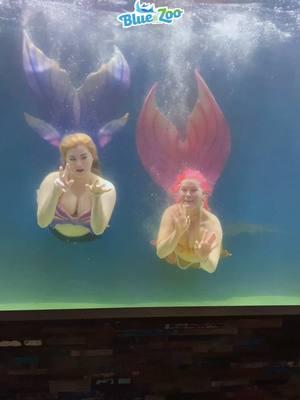 just two goofy mers @Mermaid Lilly #fyp #mermaid #rose_the_mermaid #mermaidtail #siren #finfolkproductions #bluezoo #bluezooaquariums #bluezoobatonrouge #bluezooaquariambatonrouge #aquariummermaid #aquarium #bluezoopod #bluezoomermaids #bluezoomermaid @Finfolk Productions @Blue Zoo Aquariums @Jorge Rivera-Herrans #jorgeriveraherrans #epicthemusical #godgames #mrjalapeno 