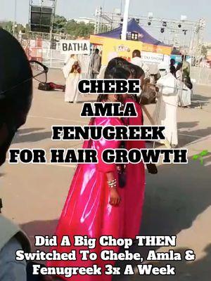 BELIEVE THE HYPEEEEEE 🌱🤭 #hairgrowth #healthyhaironly #hairgrowthoil #bigchophaircut #bigchopjourney #healthyhairtiktok #chebeoil #amlapowder #fenugreek #amlaoil #chebehairgrowth #hairgoals #tractionalopecia #rosemaryforhairgrowth #hairtransformation #hairtok #hairtrends #hairgrowthjourney 