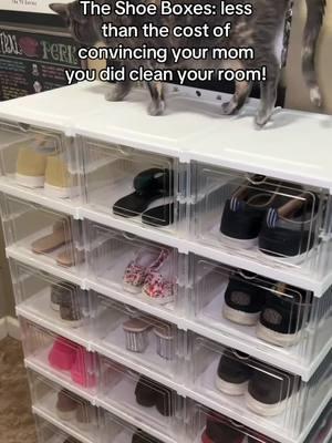 Great deals #organize #closet #closetstorage #shoerack #closetupgrade #shoes #shoeorganizer #songmics #TikTokShop 