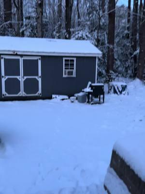 This is where I am right now: savoring the peace of early mornings on my front porch, surrounded by the gentle songs of the birds and the breathtaking beauty of freshly fallen snow. I’ve made sure the birds are well-fed with plenty of seed, and even my chickens are lively and full of energy despite the blanket of white around them. I wouldn’t trade this moment for the world. When life feels heavy, I’ve learned to pause and take in the wonder that surrounds me. Though this winter has brought its share of struggles with seasonal depression, scenes like this remind me how much I have to be grateful for. Wayne Dyer’s words echo in my mind: “If you change the way you look at things, the things you look at change.” And today, my view fills my heart with joy and gratitude. I’m choosing to embrace the beauty of this snowy day, and I hope your day is just as extraordinary. Here’s to finding the magic in your world! #GratitudeJourney #SnowyMorningMagic #FindingJoyInNature #SimplePleasures #MindfulMoments #SeasonalBeauty #WayneDyerWisdom #PositivePerspective #ChasingGratitude #NatureLovers #WinterSerenity #BirdsongBliss #PeacefulMornings #SeasonalReflection #EmbraceTheMoment #TeresaPrevette #kinetickoaching #kinetic_koaching #kinetickonversations #ASMR #countrylife