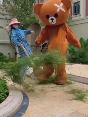 Funny bear video P67 #bear #gau #troll #viral #humor #fun #prank #omg #amazing #trollbear #funnybear #gaulaythanhgaulieu