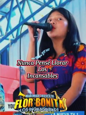 Nunca pensé llorar #los #incansable #marimbasorquestas #marimba_guatemalteca #paratiiiiiiiiiiiiiiiiiiiiiiiiiiiiiii #fyrシ #seguidorestiktok2022 #dale❤️ #paratii #pypdong #lesterchapingt502 #saludos✌🏼👍🏼👍🏼 #fyromania #fyrシ #trr #pypシ #saludos✌🏼👍🏼👍🏼 